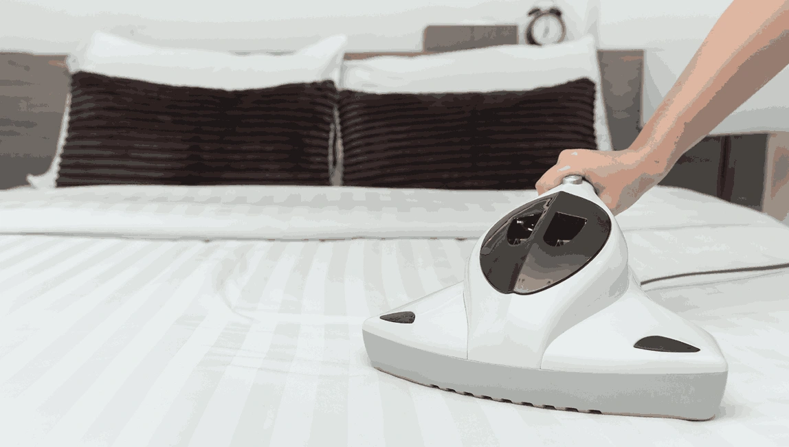 Professional Mattress Cleaning Portsea